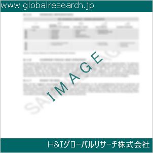 グローバルリサーチ調査資料のイメージ